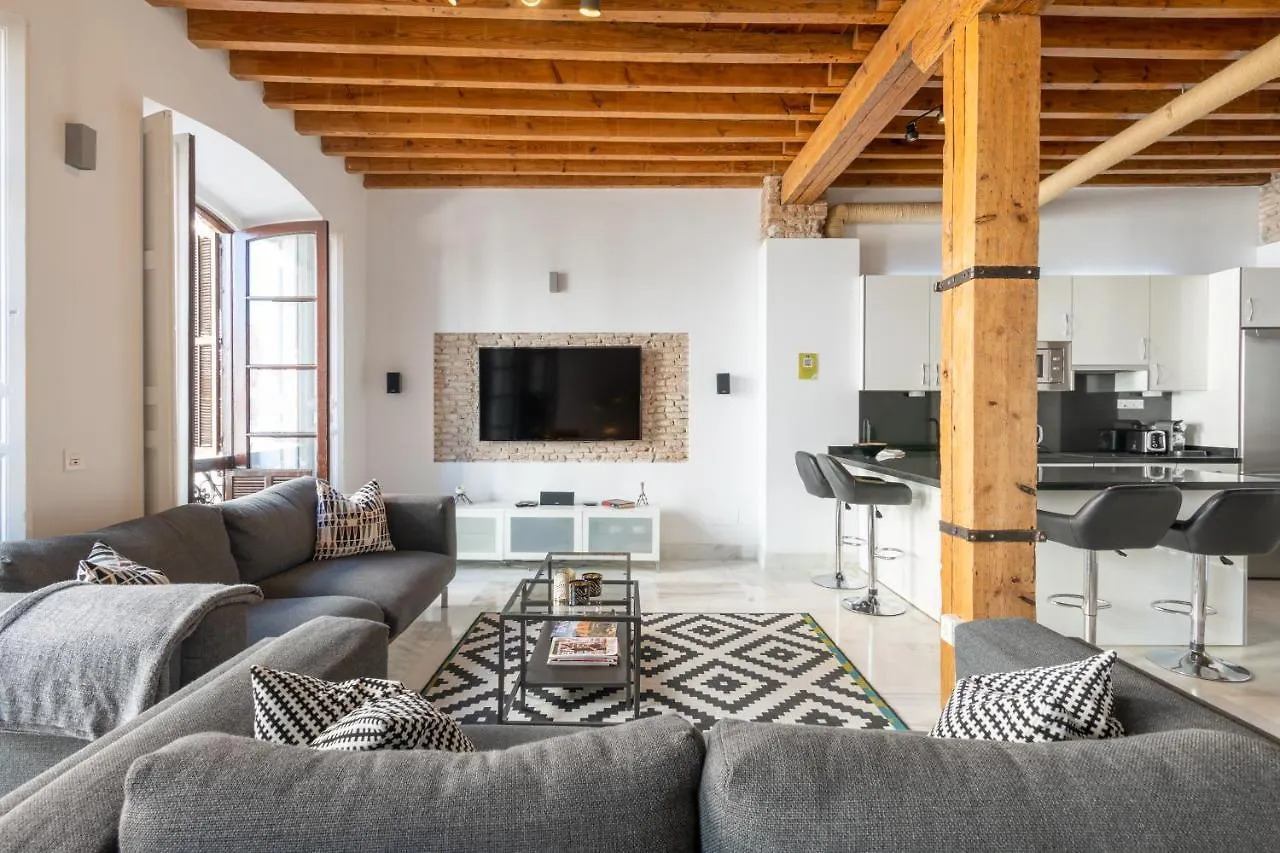 Apartamento Malaga historical center 0*,